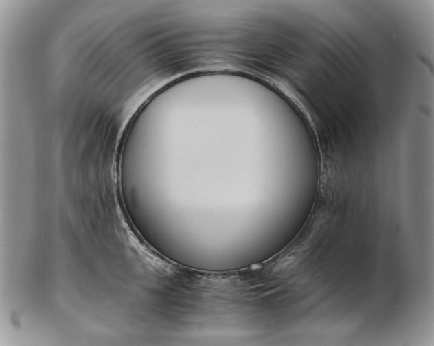 X0000102760951200809021004