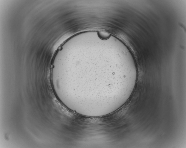 X0000102760952200809021004