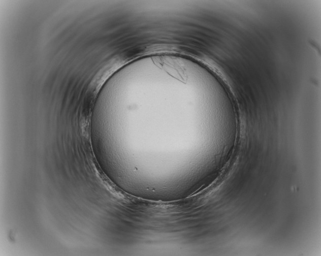 X0000102760953200809021004