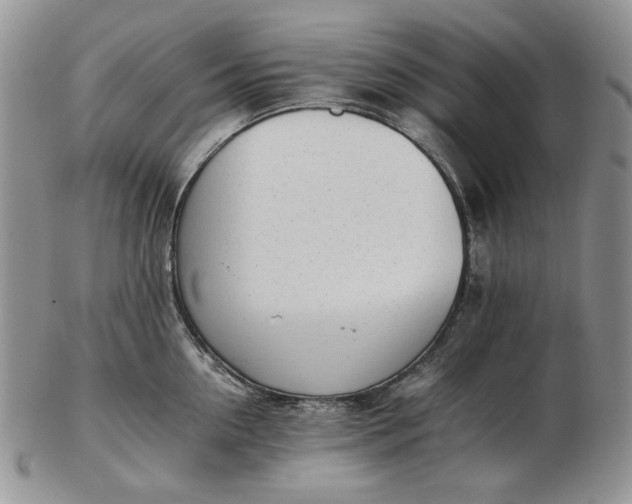 X0000102760954200809021004