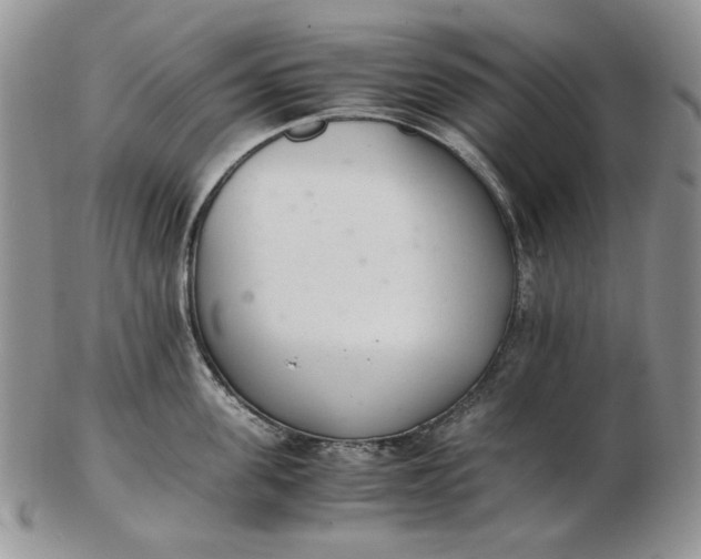 X0000102760955200809021004