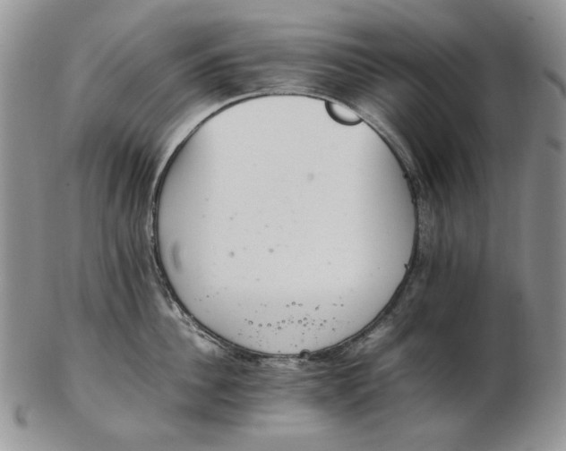 X0000102760956200809021004