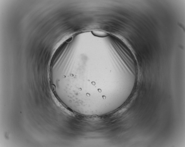 X0000102760957200809021004