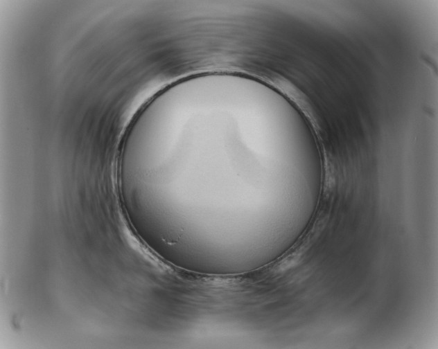 X0000102760958200809021004