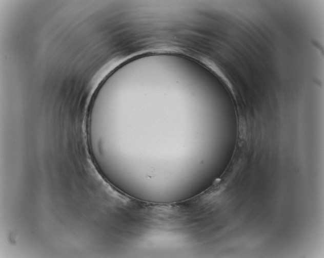 X0000102760959200809021004