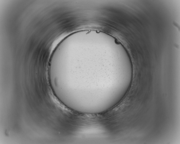 X0000102760960200809021004