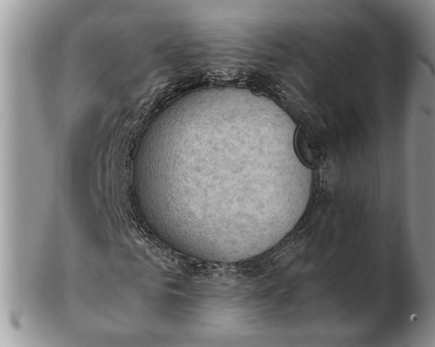 X0000102760961200809021004