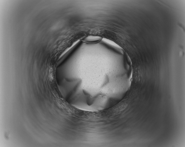 X0000102760962200809021004