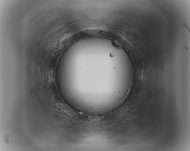 X0000102760965200809021004