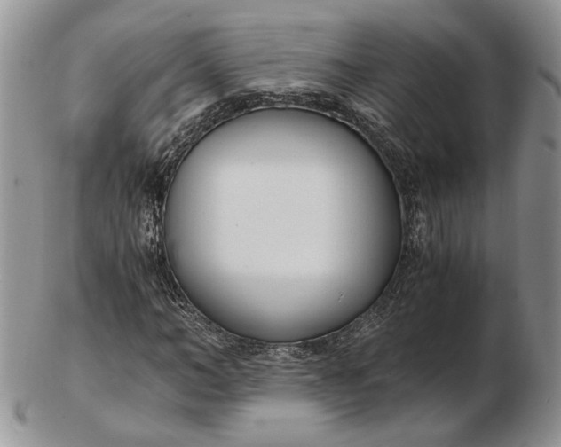 X0000102760966200809021004