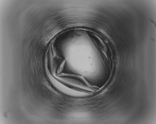 X0000102760969200809021004