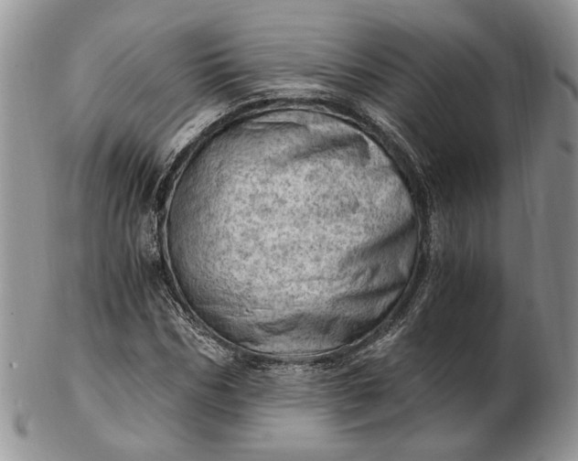 X0000102760970200809021004