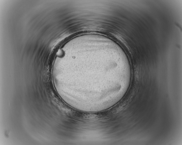 X0000102760971200809021004