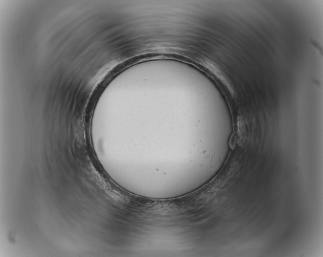 X0000102760972200809021004