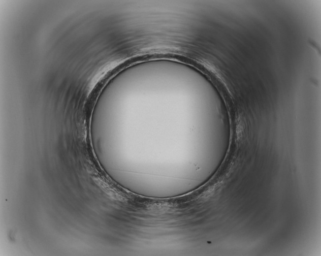 X0000102760973200809021004