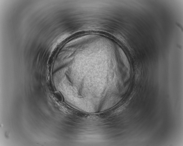 X0000102760974200809021004