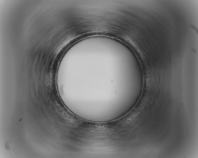 X0000102760975200809021004