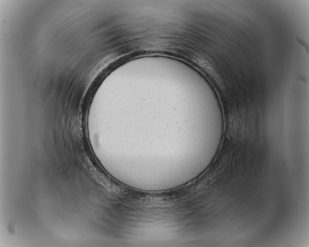 X0000102760976200809021004