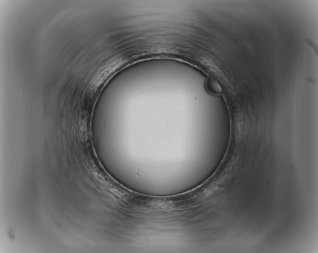 X0000102760977200809021004