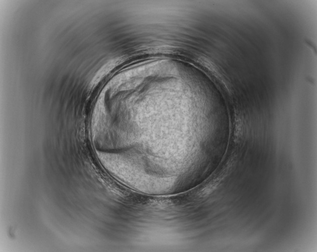 X0000102760978200809021004