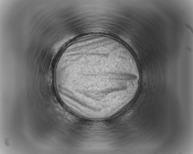 X0000102760979200809021004