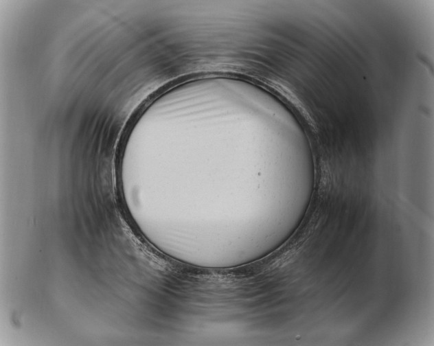 X0000102760980200809021004