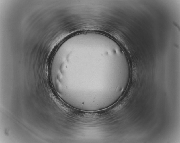 X0000102760981200809021004