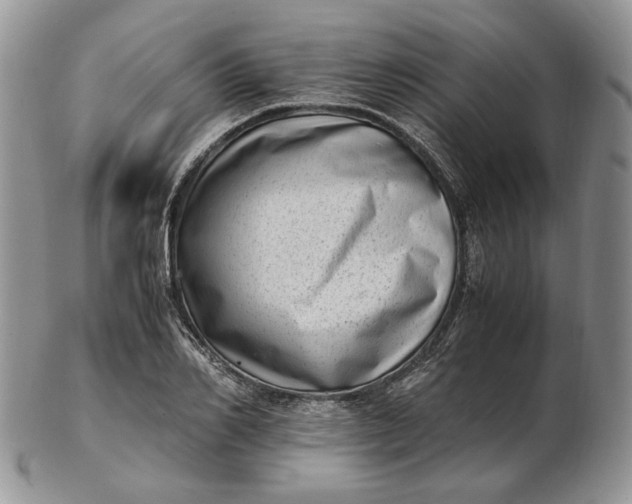 X0000102760982200809021003