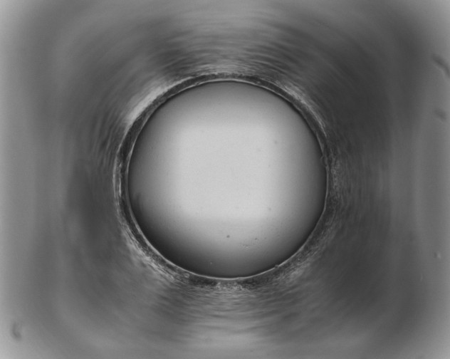 X0000102760983200809021003