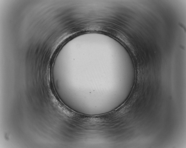 X0000102760984200809021003