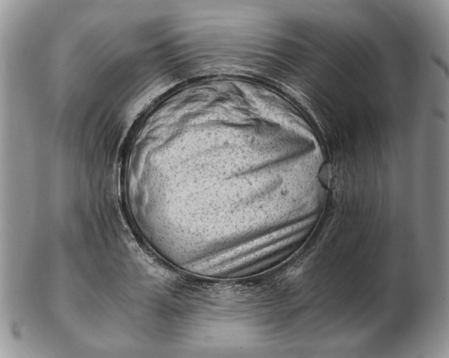 X0000102760987200809021003