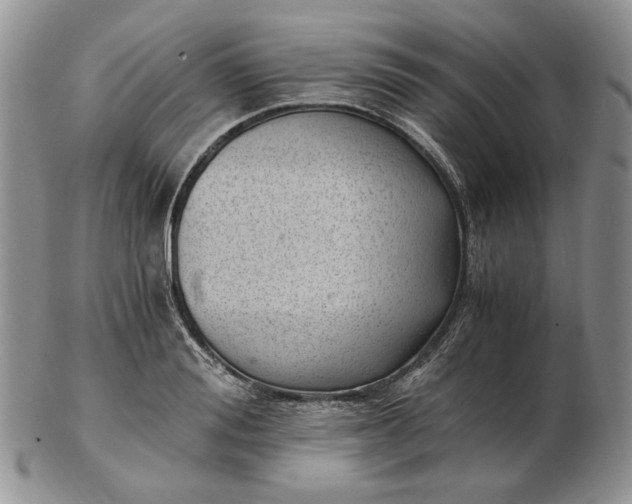 X0000102760988200809021003