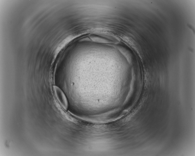 X0000102760989200809021003