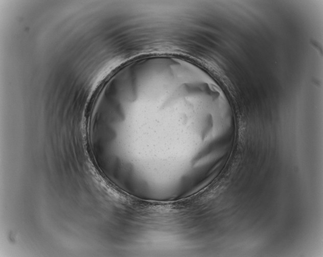 X0000102760990200809021003