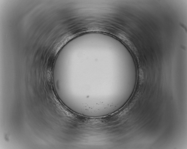 X0000102760993200809021003