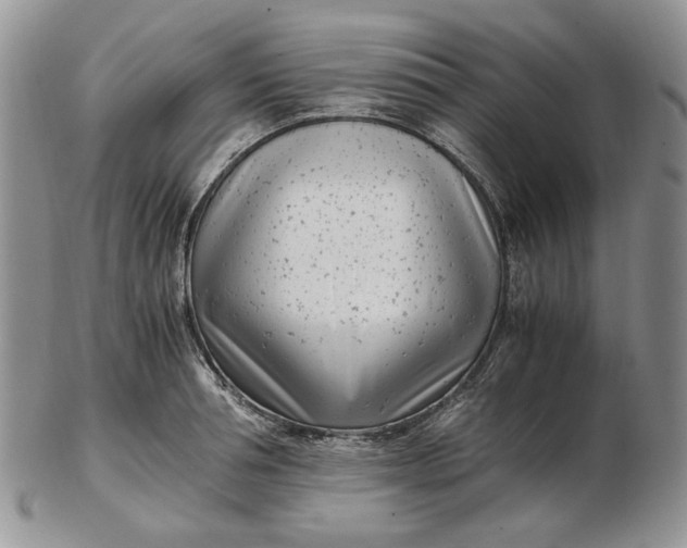 X0000102760994200809021003