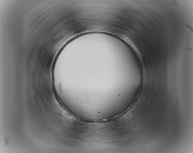 X0000102760996200809021003