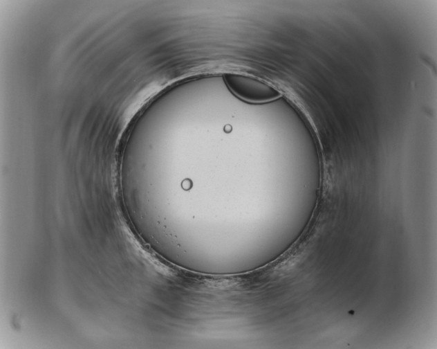 X0000102760997200809021003