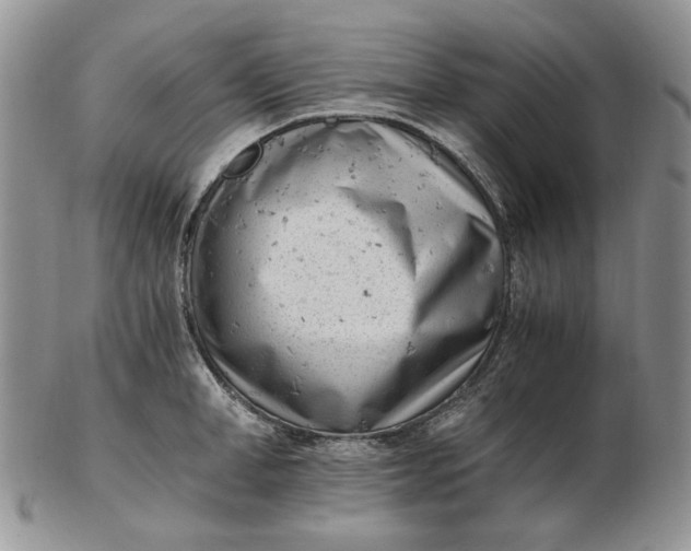 X0000102760998200809021003