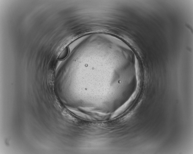 X0000102761001200809021003