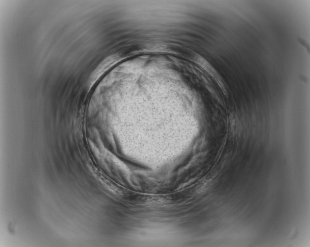 X0000102761002200809021003