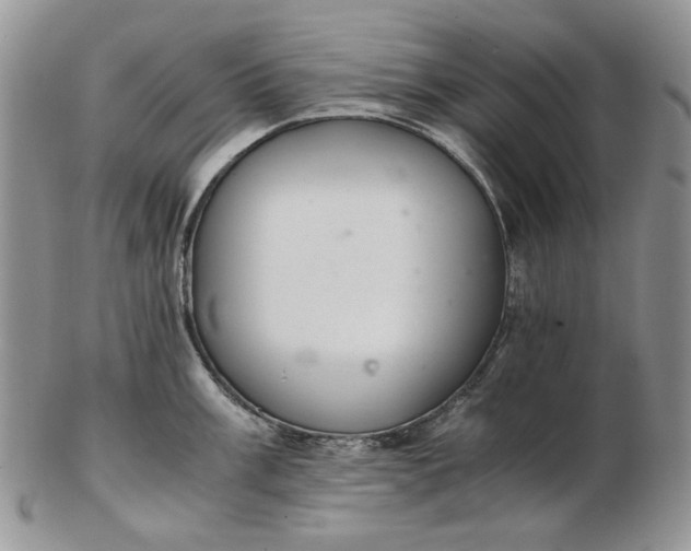 X0000102761003200809021003