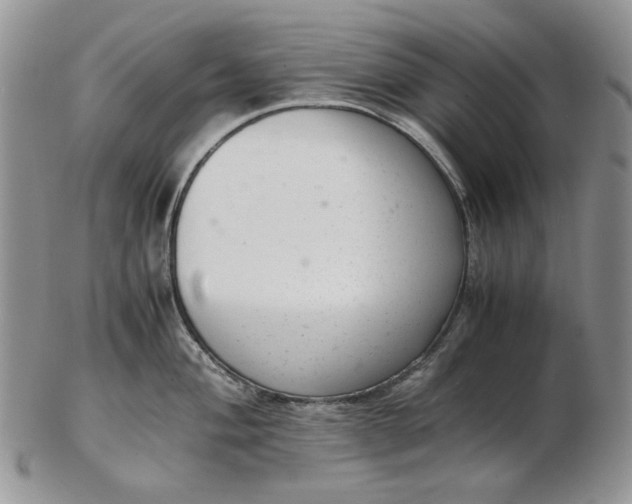 X0000102761004200809021003