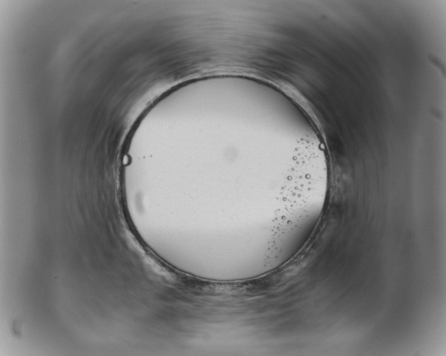 X0000102761005200809021003