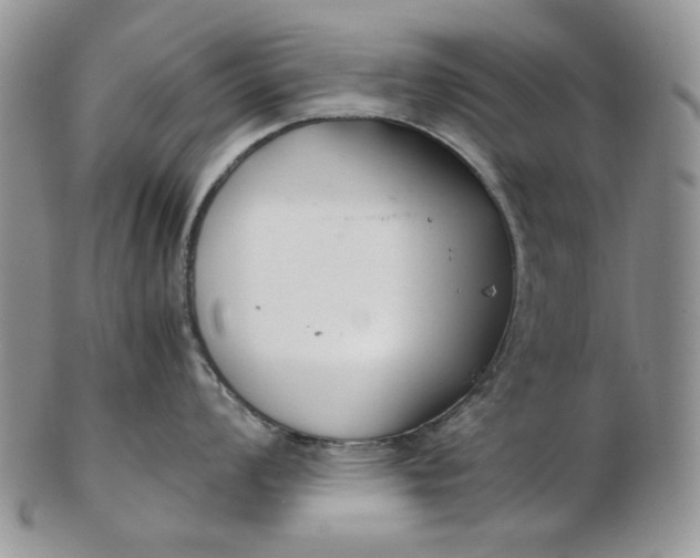 X0000102761008200809021003