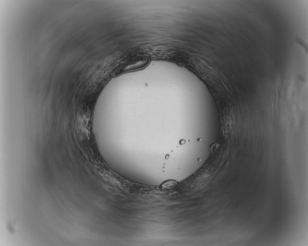 X0000102761010200809021002