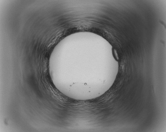 X0000102761012200809021003