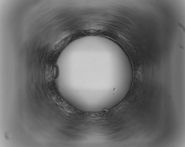 X0000102761014200809021003