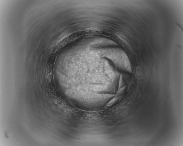 X0000102761015200809021003