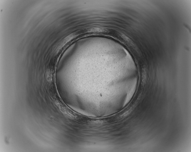 X0000102761017200809021003